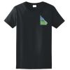 Women's Ultra Cotton ® 100% Cotton T Shirt Thumbnail