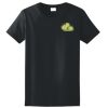 Women's Ultra Cotton ® 100% Cotton T Shirt Thumbnail